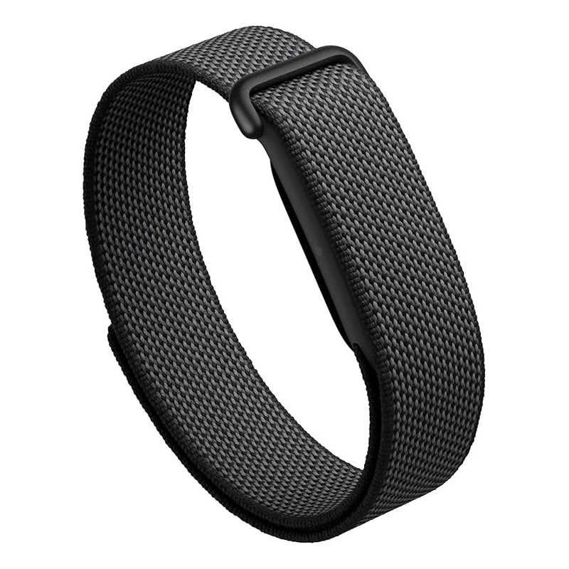 Google fitbit air